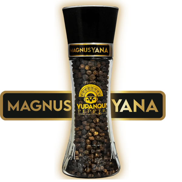 Best Black Pepper for Steak in Yupanqui pepper grinder refillable