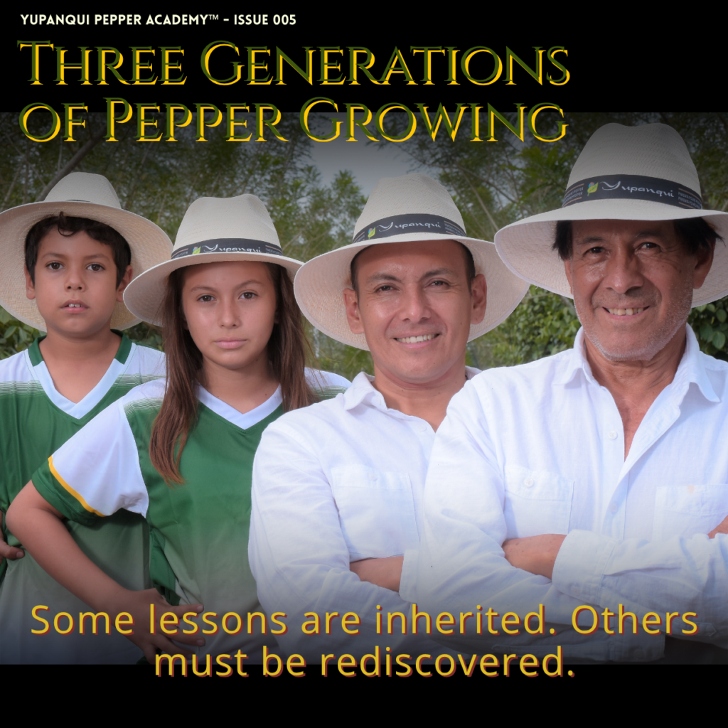 Three generations of pepper growing | Three generations of the Yupanqui Family sharing lifelong knowledge cultivated through decades of observing pepper vines.