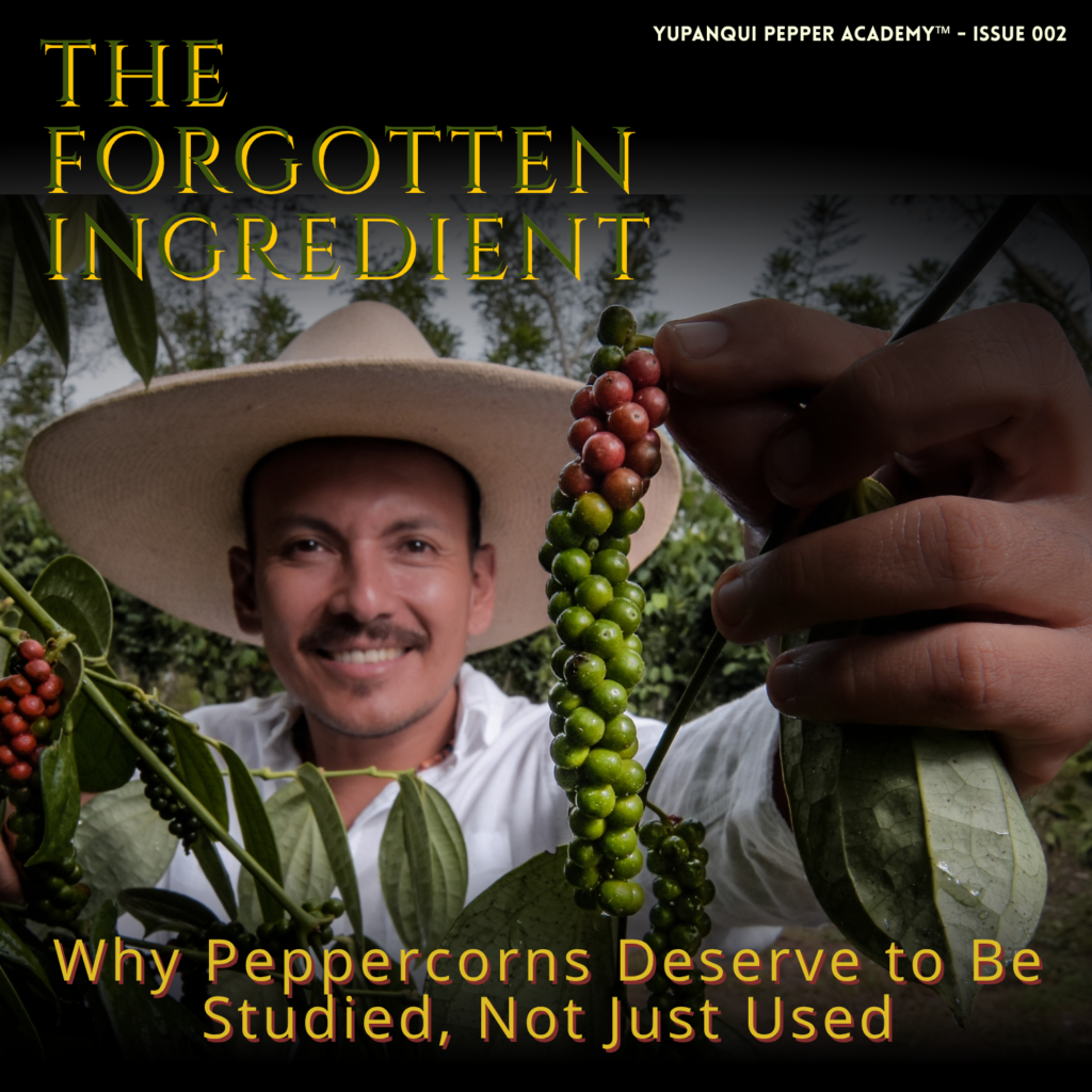 why peppercorns deserve to be studied