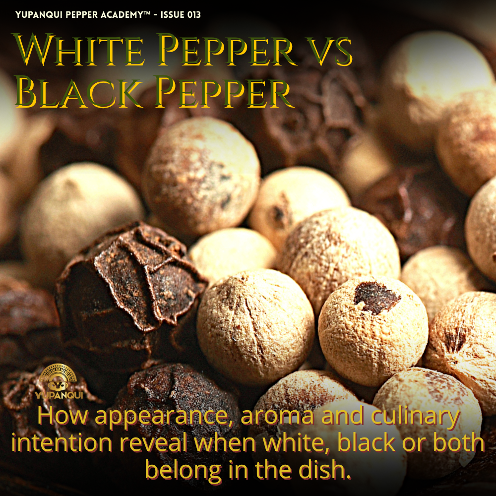 White pepper vs black pepper shown together for Yupanqui Pepper Academy Issue 013