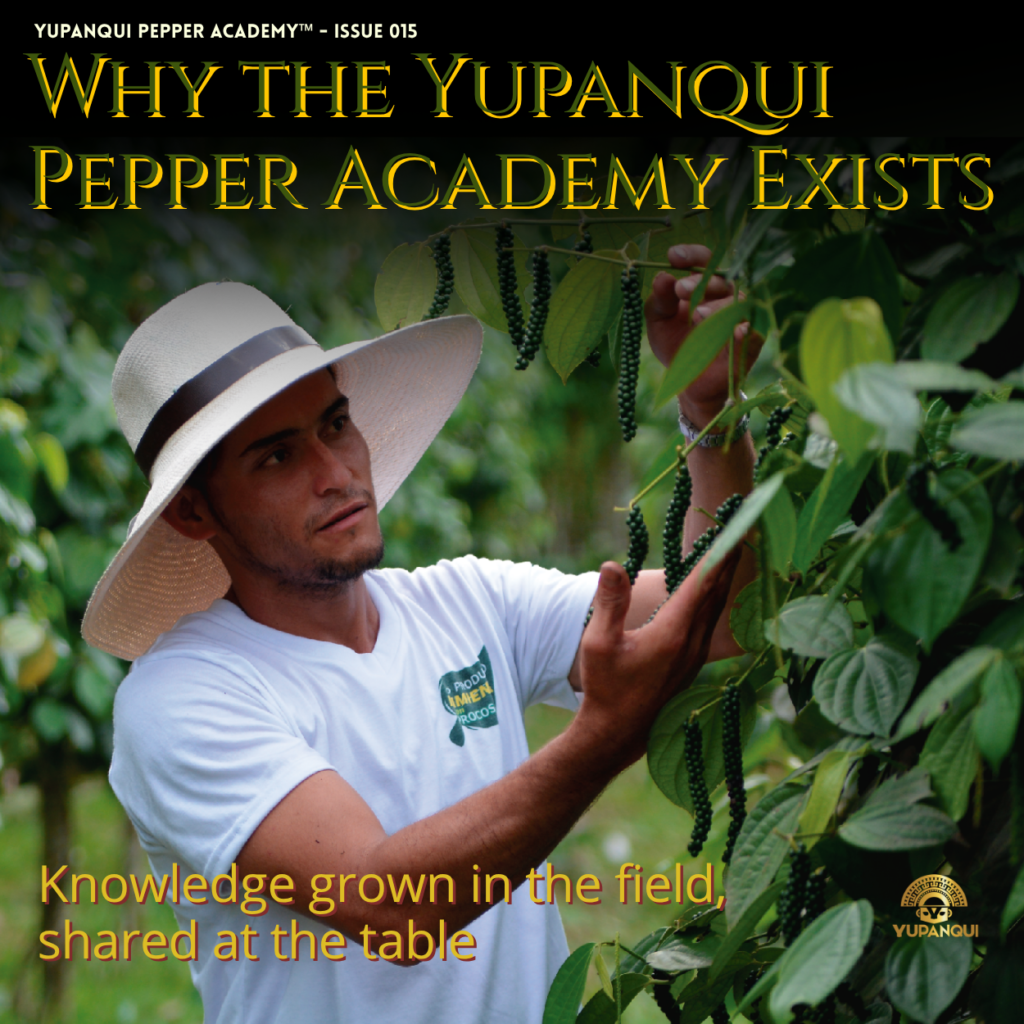 Yupanqui Pepper Academy | A grower examining Yupanqui green peppercorn spikes on the vine.